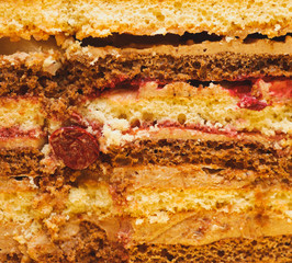 sweet dessert. cross-section texture of pieces pie. food backgro