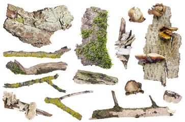 Set of isolated forest elements