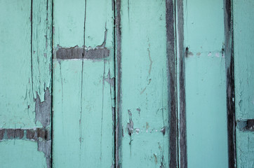 Green wood pattern surface