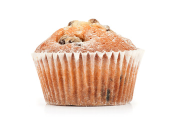 muffin isolated on white background