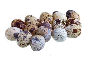 Obraz premium Quail eggs