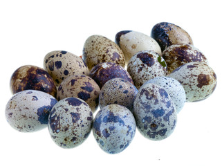 Obraz premium Quail eggs