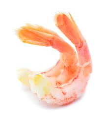 shrimps
