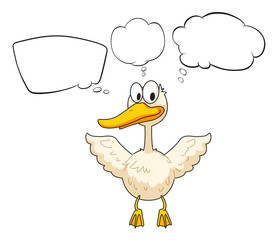 White duck with empty thoughts