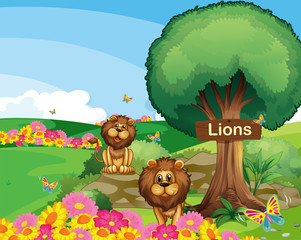 Two lions in the garden with a wooden signboard