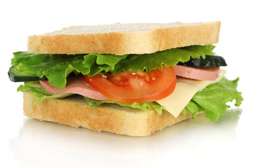 Sandwich isolated on white