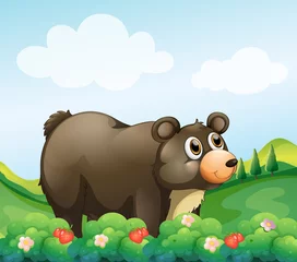Fototapete Bären Ein großer Braunbär im Garten