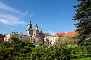 Fototapeta na wymiar Katedra na Wawelu w Krakowie, Polska