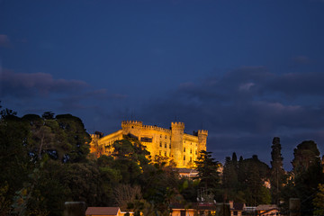 Cstle at the dusk
