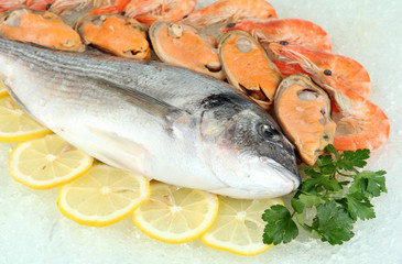 Fresh seafood on ice