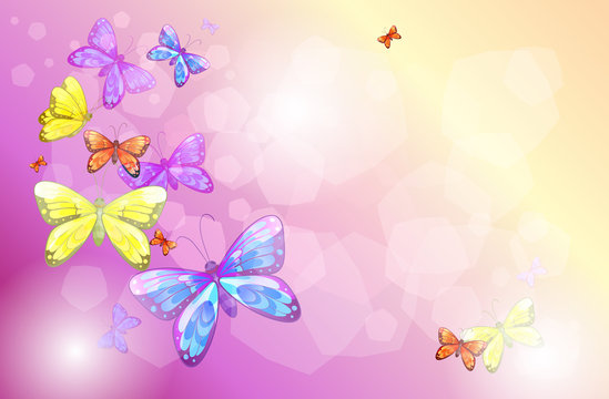 A stationery with colorful butterflies