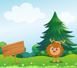 Obraz na płótnie Canvas Little Lion na wzgórzu z drewnianym szyld