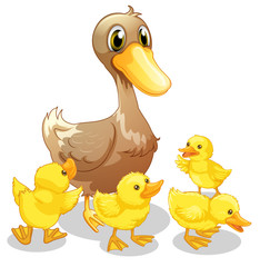 The brown duck and her four yellow ducklings