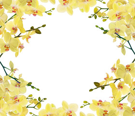 Obraz na płótnie Canvas light yellow orchid branches frame