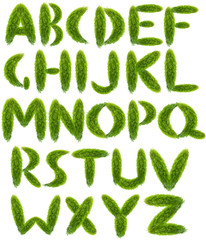 alphabet from green leaves isolated on white