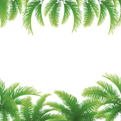 Seamless background, palm leaves