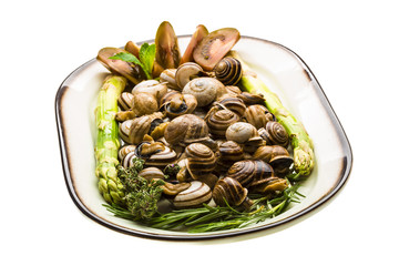 Escargot with asparagus, rosemary, thymus and tomato
