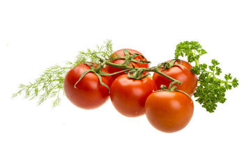 Red ripe tomatoes on the branch