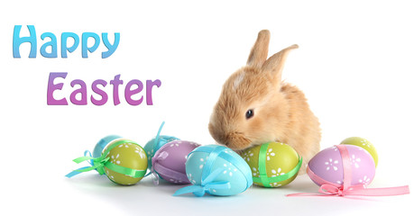 Fluffy foxy rabbit with Easter eggs isolated on white