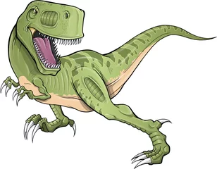 Foto op Plexiglas Tyrannosaurus Rex dinosaurus T-Rex vectorillustratie © Blue Foliage