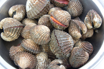 A fresh cockles for sale at a market