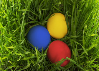 Obraz na płótnie Canvas Easter eggs in the grass.