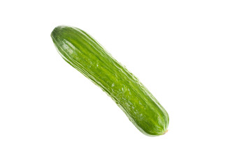 Cucumber
