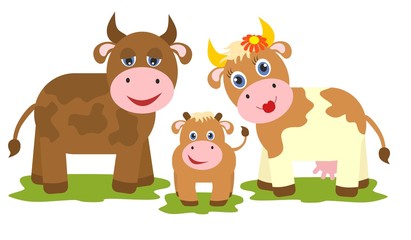 Vache, taureau et petit veau