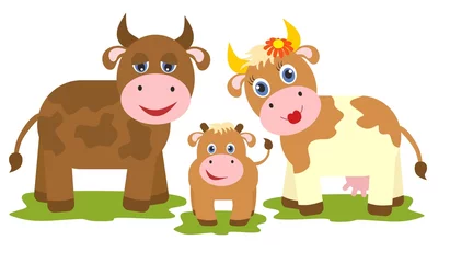 Abwaschbare Fototapete Bauernhof Kuh, Stier und kleines Kalb