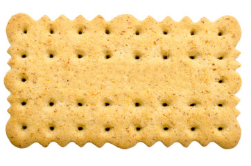 Tea Biscuit Isolated
