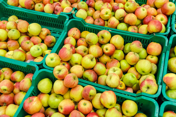 Colorful Display Of Apples In A Market