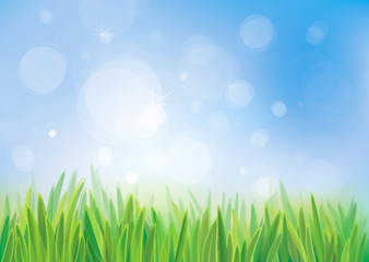 Fototapeta na wymiar Vector of spring background, blue sky and green grass.