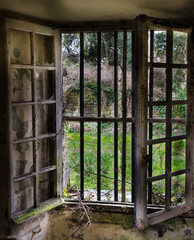 fen&ecirc;tre friche