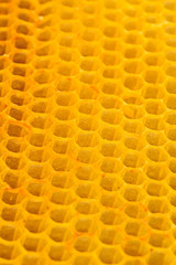  honeycomb.