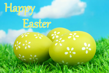Colorful easter eggs on grass