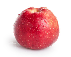 single red apple