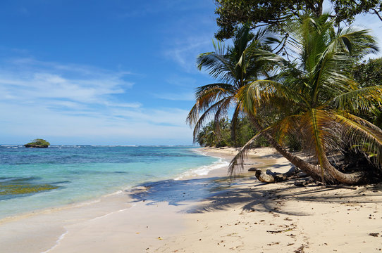 Tropical wild sandy beach with an islet, coconut trees and turquoise water