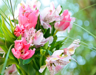 Frühlingsbote: Blumenstrauß mit Tulpen und Alstromerien
