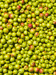 Texture with apples