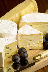 Different sorts of cheese with grapes © silberkorn73