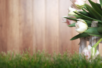 White tulips with rustic wood background