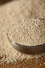 Organic Raw Yeast for baking bread