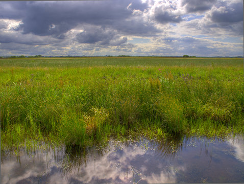 dutch polder landscape