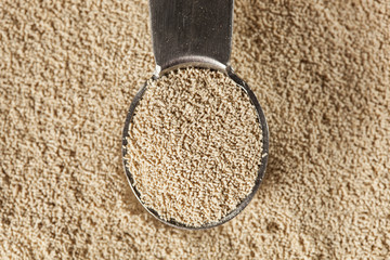 Organic Raw Yeast for baking bread