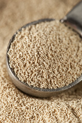 Organic Raw Yeast for baking bread