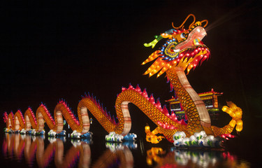 China light dragon 