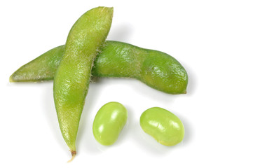 Soybean isolated on white background
