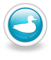 Light Blue Icon 