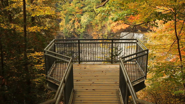 Autumn lookout with Tews Waterfall, Dundas.