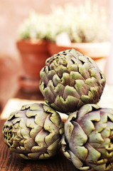 Fototapeta premium Artichokes